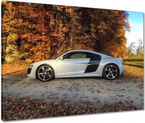 VĂĄszonkĂ©p 80x60 Ćszi Audi AutĂł