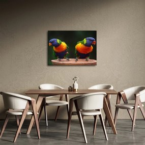 Papagájok képe (70x50 cm)
