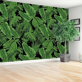 Fotótapéta Jungle éj 104x70 cm