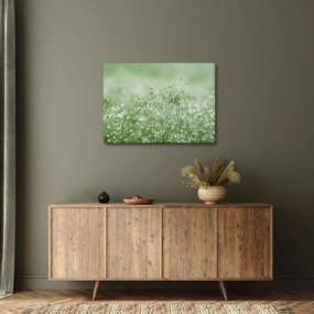 Kép - Reggeli harmat a fűszálakon (70x50 cm)