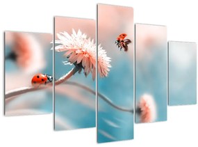 Kép - Katicabogarak a virágon (150x105 cm)