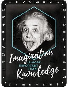 Fém tábla Einstein Imagination & Knowledge, (15 x 20 cm)