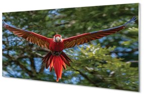 Akrilkép Ara papagáj 125x50 cm
