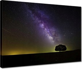 Vászonkép 40x30 Csillagos éj