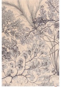 Mentazöld-bézs gyapjú szőnyeg 133x190 cm V&A Calisia Kelp – Agnella