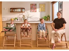 Lionelo - MEGAN 3 az 1-ben gyerek etetőszék, Green Wood