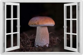 Poszter 60x40 A gombák királya