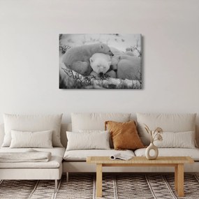 Kép - Jegesmedvék, fekete-fehér (90x60 cm)