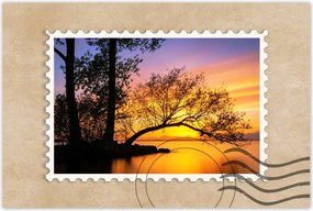 Poszterek 90x60 Fák Naplemente