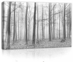 Erdő fekete-fehérben, vászonkép, 60x40 cm méretben