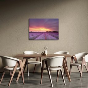 Kép - Levendula mező (70x50 cm)