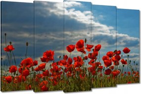 Vászonkép 150x95 Pipacs Virágok
