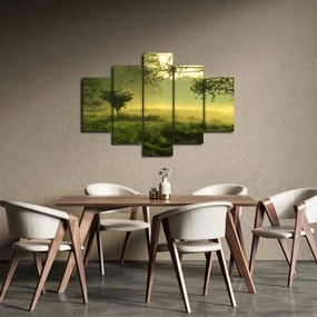 Kép - Ébredő erdő (150x105 cm)