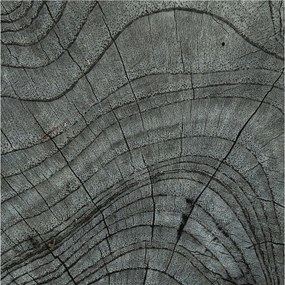 Flizelina fotótapéta Nappaliba és Hálószobába Befőttesüveg mintás 250x250 Ragasztó