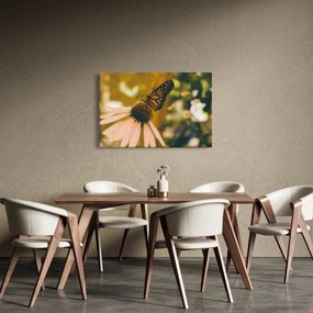 Pillangó képe a virágon (90x60 cm)