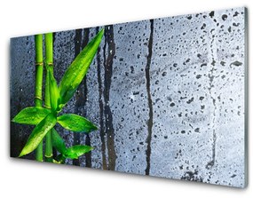 Modern üvegkép Bamboo Leaf Nature Plant 100x50 cm 2 fogas