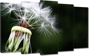 Vászonkép 100x60 Pitypang Virág Virágok