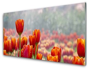 Akrilkép Tulipán virágok Plant 100x50 cm 2 fogas