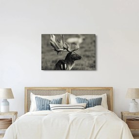 Kép - Szarvas (90x60 cm)