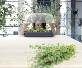 Prosperplast RESPANA TABLE GREENHOUSE palántázó antracit 39,1 cm