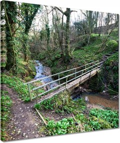 Vászonkép 40x40 Híd a parkban