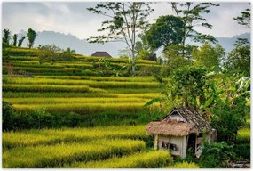 Poszterek 120x80 Tájkép Látvány