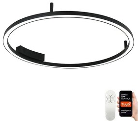 Immax NEO 07246-80 -LED Dimmelhető lámpa FINO LED/55W/230V 80cm Tuya + távirányító