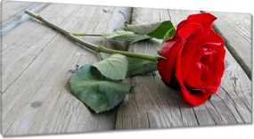 Vászonkép 115x55 Rózsa a deszkákon