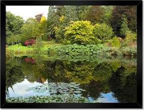 Poszterek keretben 40x30 Park tükröződés