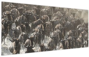 Kép - Gnúcsorda (120x50 cm)