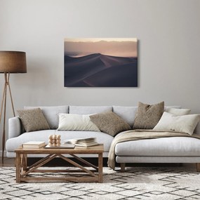 Kép - Homokdűnék (90x60 cm)