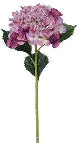 Mű hortenzia, magassága: 52 cm, lila