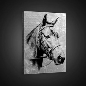 Ló, vászonkép, 40x60 cm méretben