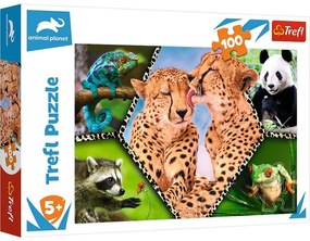 Gyermek puzzle - Animals - 100 db