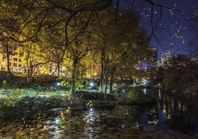 Poszter 29,7x21cm Esti kilátás a New York-i Central Parkra 7, Assaf Fra