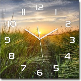 Nagy üveg falióra nappaliba Búzamező 60x60cm