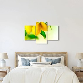 A citrom képe (90x60 cm)