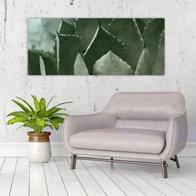 Kép - Zöld agávé (120x50 cm)