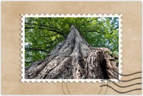 Poszterek 120x80 Fa Fák Kilátás