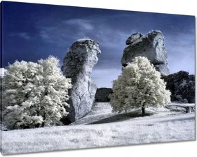 Vászonképek 100x70 Tájkép Infravörös fotó