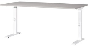 Íróasztal állítható magassággal 80x160 cm Downey – Germania