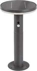 Alaska kültéri napelemes állólámpa 10w 250lm ip44 antracit mozgásérzékelő fényérzékelő