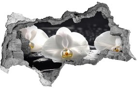 3d lyuk fal dekoráció Orchidea nd-b-62952104