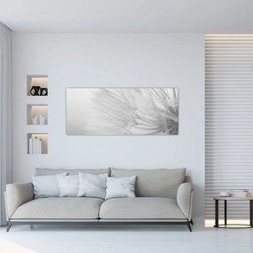 Kép - Pitypang (120x50 cm)