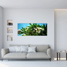 Kép - Plumeria (120x50 cm)