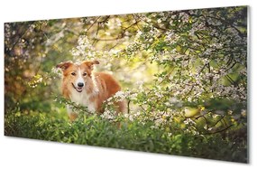 Üvegképek Kutya erdei virágok 120x60cm