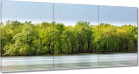 Vászonkép 120x60 Erdő Tó Ég
