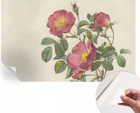 Dekoratív öntapadós fotótapéta Hálószobába Rózsa motívum 416x254 cm