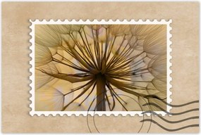 Poszterek 60x40 Pitypang Virág Virágok