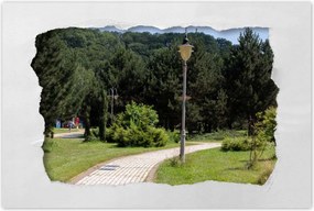 Poszterek 60x40 Zöld park fákkal